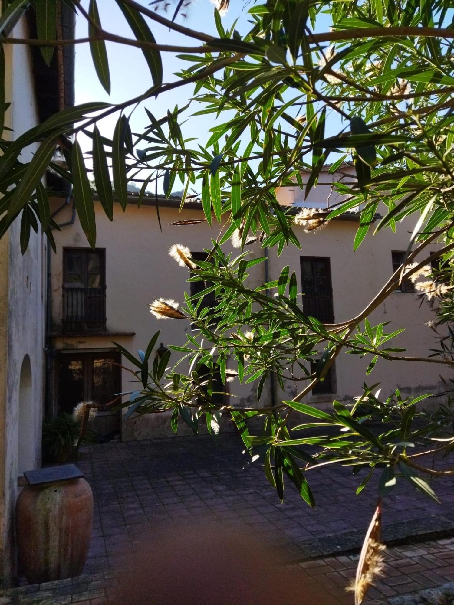 Casa Bienvenida - Carcaixent Bed & Breakfast Ngoại thất bức ảnh