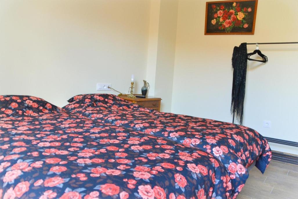 Casa Bienvenida - Carcaixent Bed & Breakfast Ngoại thất bức ảnh